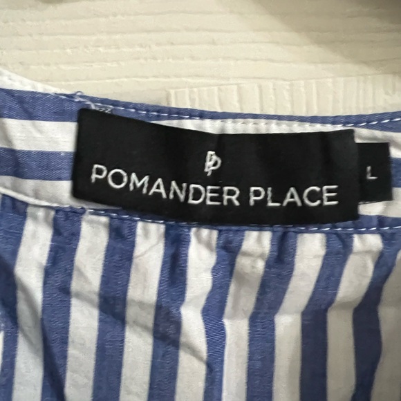 Pomander Place Blue and White Stripe Cotton Poplin Kenzo Dress Size L - Picture 4 of 6